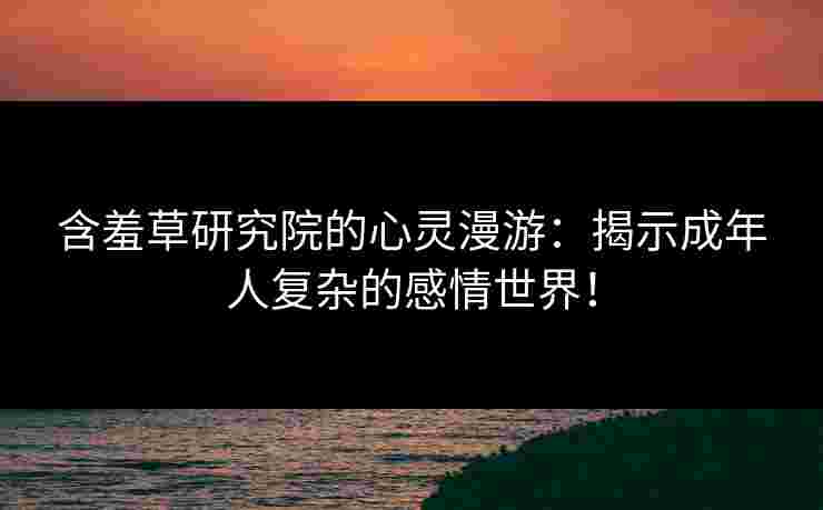 含羞草研究院的心灵漫游：揭示成年人复杂的感情世界！